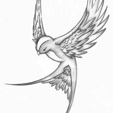 black-swallow-tattoo-sketch-water.jpg