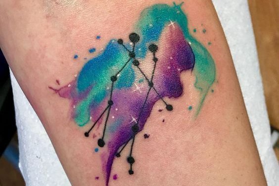 близнецы (14)