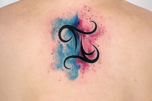 близнецы (16)