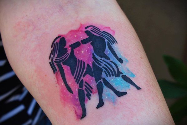 близнецы (24)