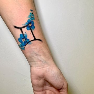 близнецы (6)