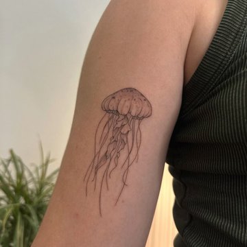 c3bc915576ddb48ed905774b7f96aa08