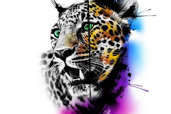 c9ff18d02beece664522361858188a17