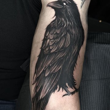 cielomich__1700306461591