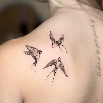 d1c6e448bbe86d3b7ab43496ccb2141a