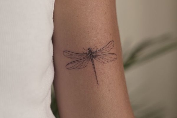 d8e42a4fd05f62e37bdb47f598c296f6