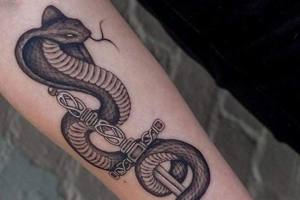 d8e8f0302d18a23ceb7d323364415bae