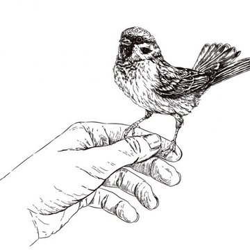 depositphotos_74353303-stock-illustration-sparrow-sitting-on-hand.jpg