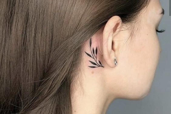 eb3220498e76d562f06f09410efeaebd