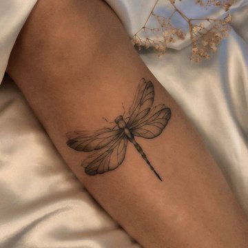 f19dda5e81371cba6d4a13bdece5fa93