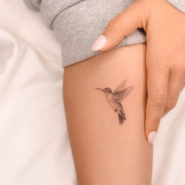 fa00be771299e151c7a6faa929c09d6e