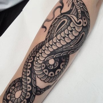 faf2e5dd79ae6a1636cb15964fe7b3b8