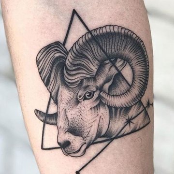 fb018e33cd872c468fd741998b7d4d9b