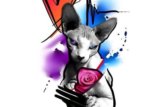 fb72ef42dc31956bd488f3d504e7a734