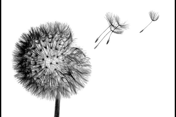 image-7-26 — копия.png