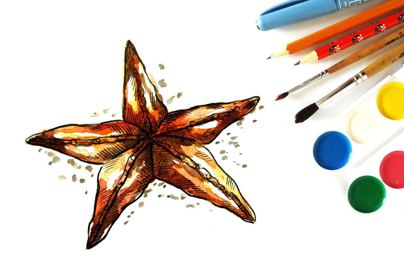 kak-narisovat-morskuyu-zvezdu-poetapno-miniatura.jpg