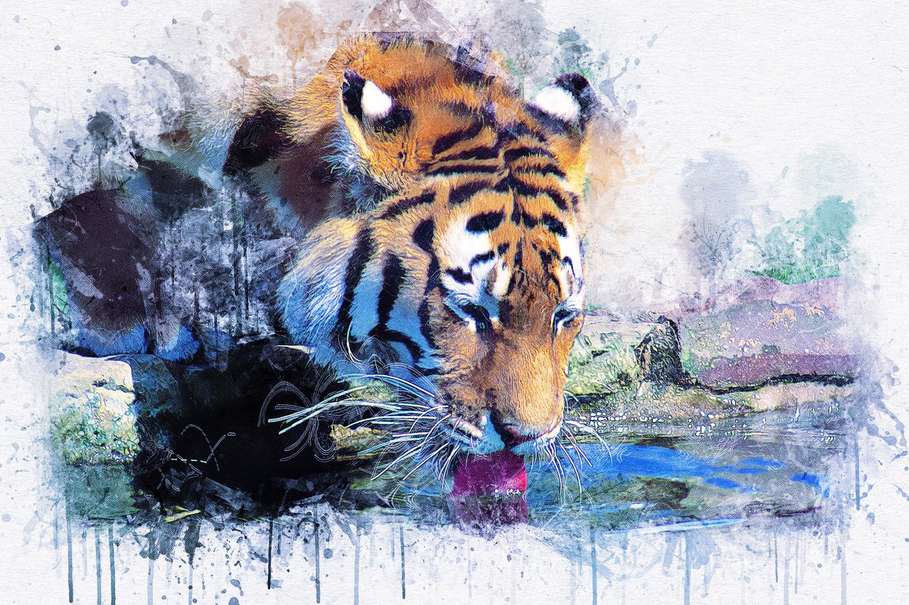 kartina-zhivopis-tigr-akvarel.jpg