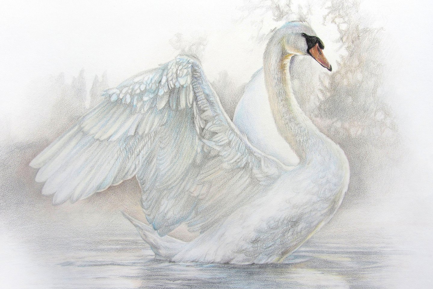 лебедь_2.jpg