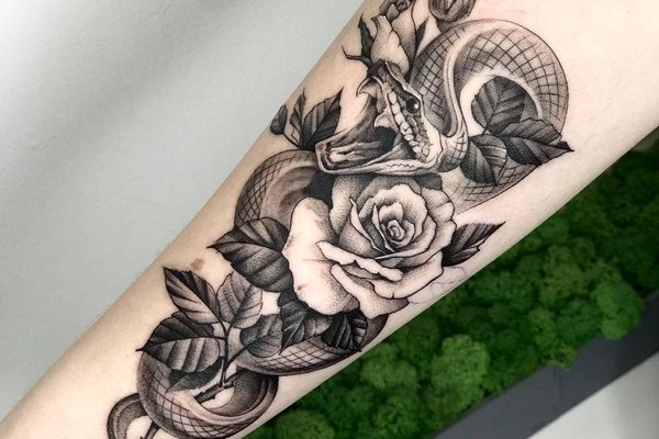 photo_2022-11-23_11-39-19