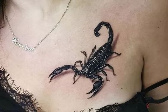 скорпион (22)