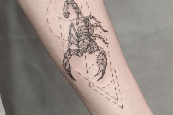 скорпион (8)