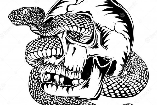 skull-with-viper-snake_177478-44.jpg
