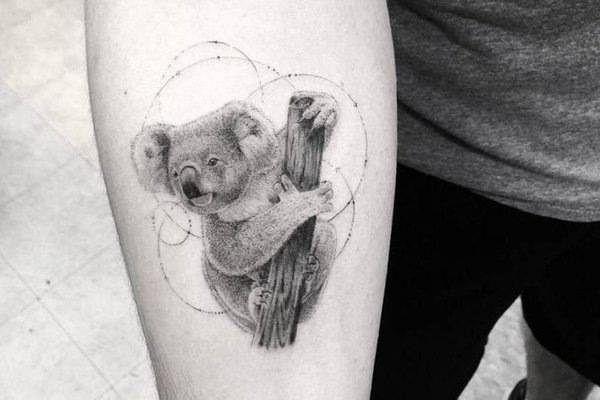 tatuajes-de-koalas-11.jpg